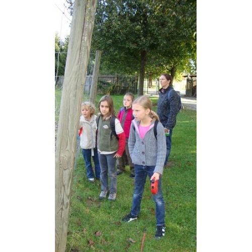 Bild 1 zum Block 1630