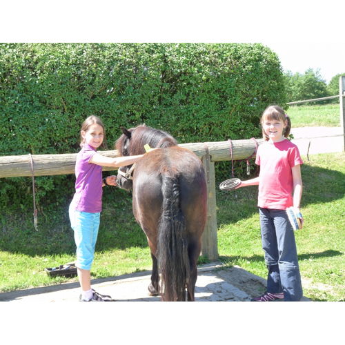 Bild 11 zum Block 1644