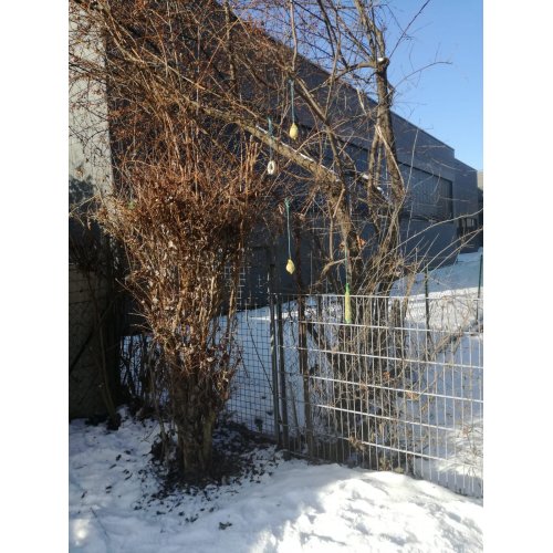 Bild 4 zum Block 3073
