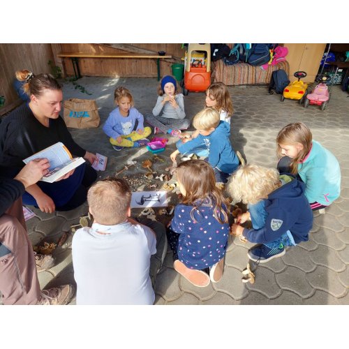 Bild 15 zum Block 5181