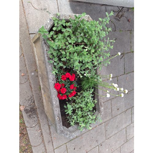 Bild 18 zum Block 6263
