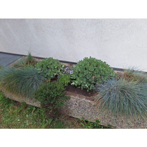 Bild 26 zum Block 6263