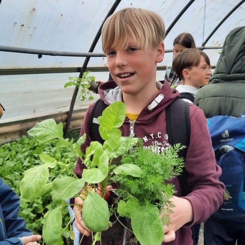 Bild zum Weblog Schule in der G&auml;rtnerei