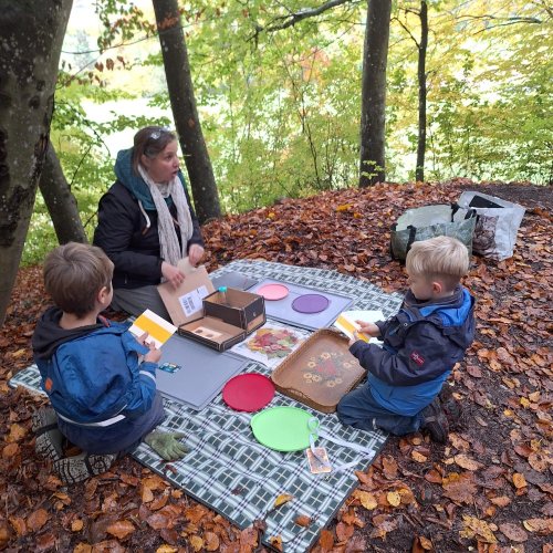 Bild zum Weblog Tag des offenen Waldes